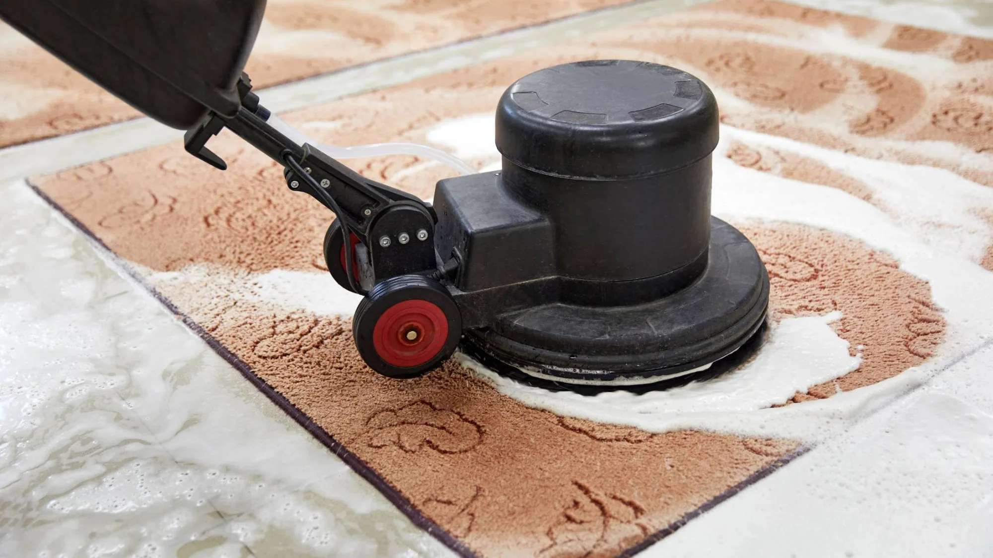 Exploring the Cost of Carpet Cleaning Services in Dubai